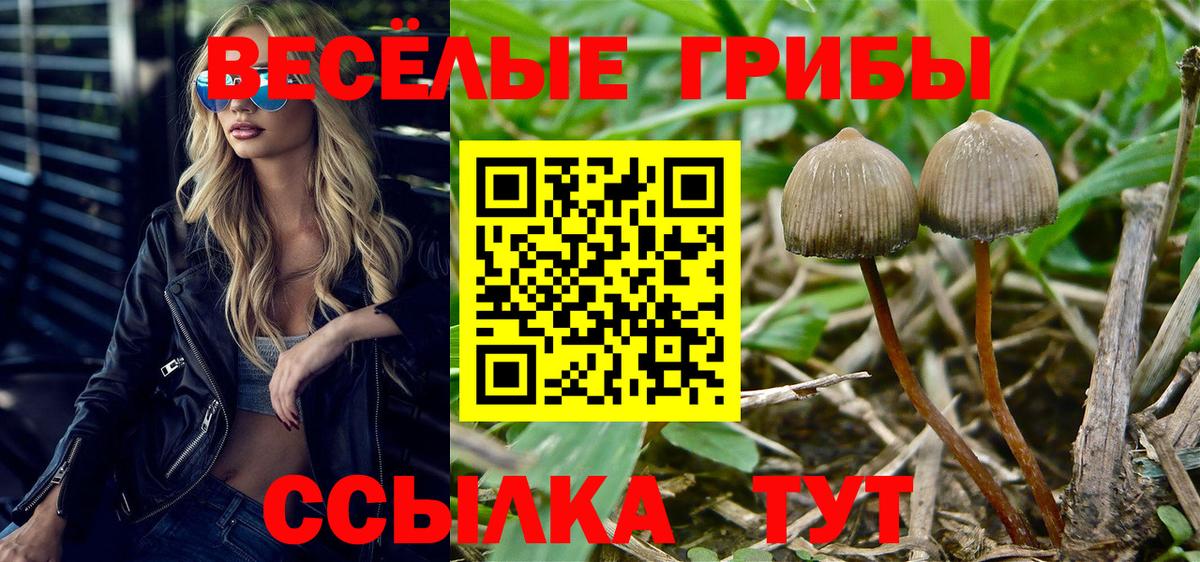 Кропоткин  Псилоцибиновые грибы ЛСД  цена наркотик  Вход с VPN 