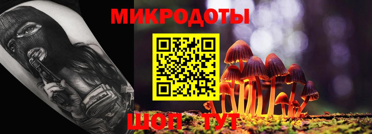 МЕФ Кропоткин